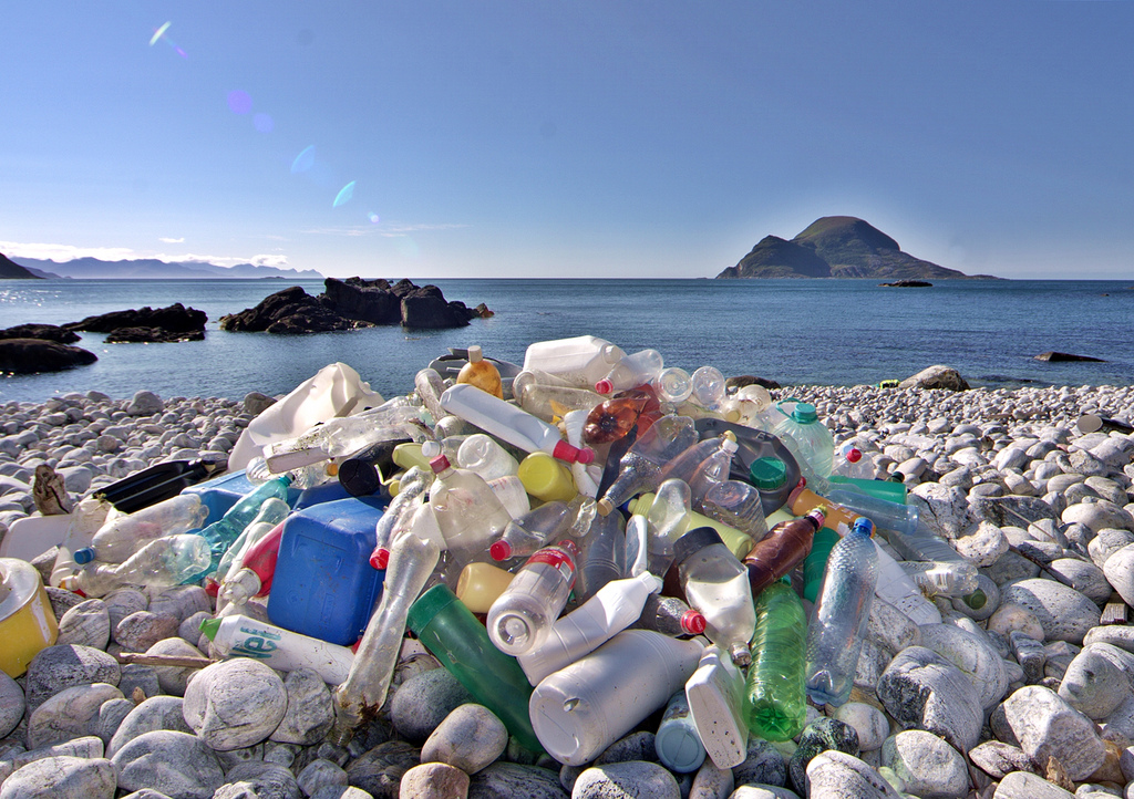 Plastic bottles on a beach by Snemann